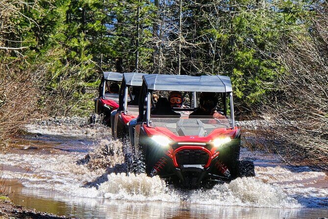 2 Hour High Cascades Scenic ATV Tour in Bend Oregon - Suitability and Who Will Love This