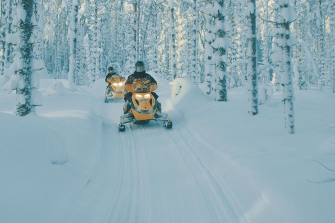 2 Hour Hillside Snowmobile Safari - Overview and Experience