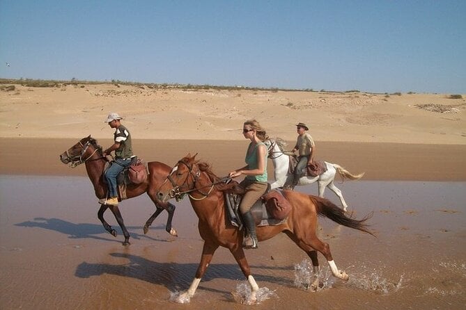 2 Hour Horse Riding Experience in Hurghada - Pickup Logistics