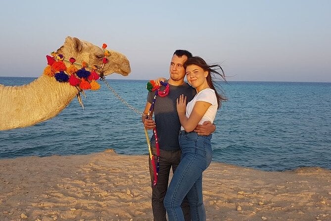 2 Hour Horse Riding Experience in Hurghada - Pricing and Offers