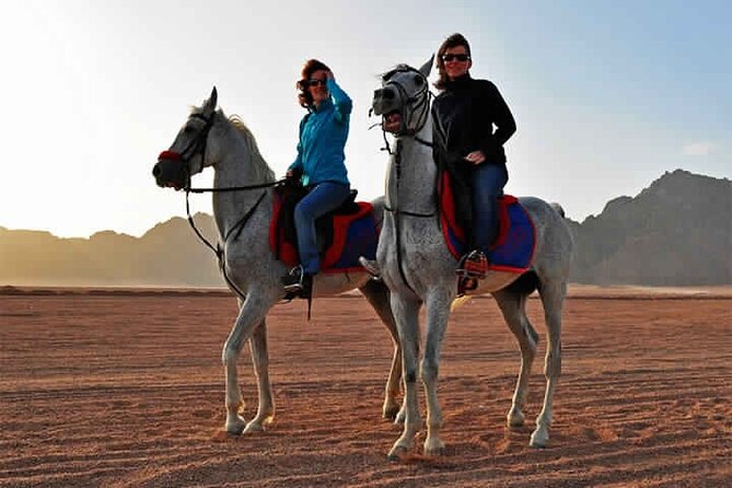 2 Hour Horse Riding Experience in Hurghada - Additional Options