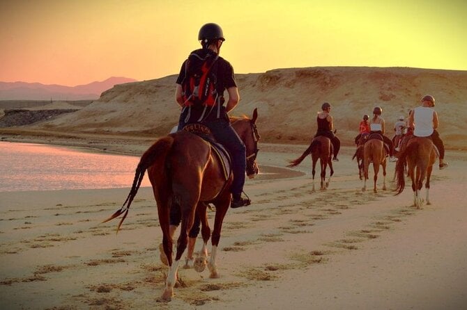 2 Hour Horse Riding Experience in Hurghada - Booking Steps