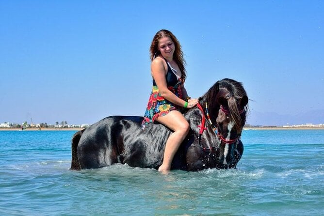 2 Hour Horse Riding Experience in Hurghada - The Sum Up