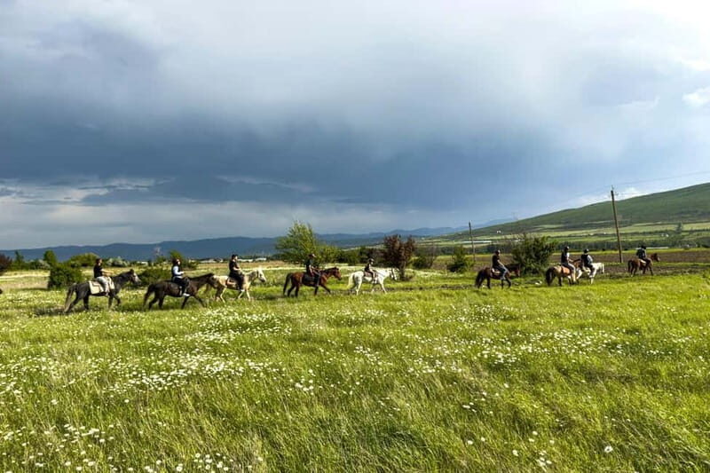 2-hour horse riding tour at Palomino Ranch Near Tbilisi - Good To Know