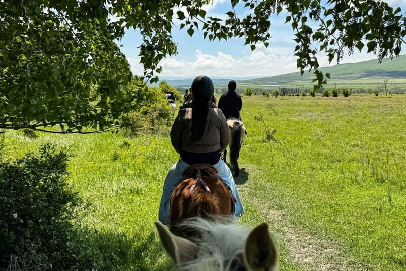 2-hour horse riding tour at Palomino Ranch Near Tbilisi - An In-Depth Look at the Palomino Ranch Horse Riding Experience