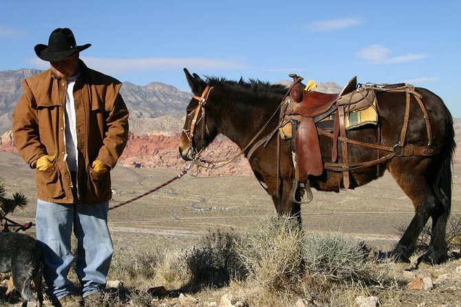 2-Hour Horseback Riding Through Red Rock Canyon - Customer Service and Value for Money