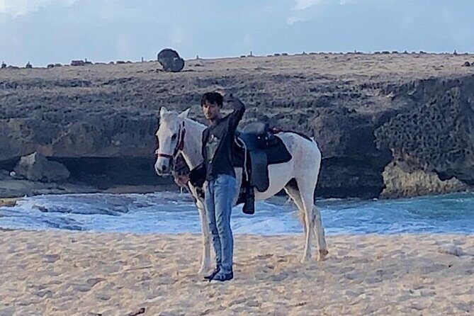 2-Hour Horseback Riding Tour to Little Natural Bridge in Aruba - What Travelers Love (and What to Consider)