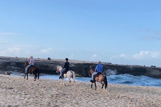 2-Hour Horseback Riding Tour to Little Natural Bridge in Aruba - FAQ