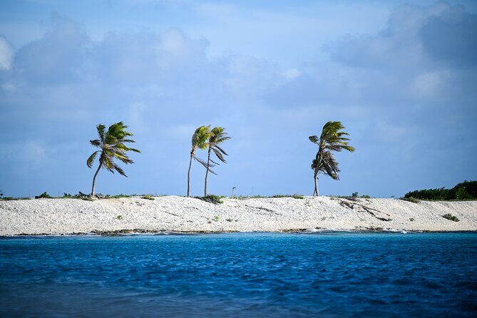 2 hour Individual Guided South Island Tour for Singles/Couples - FAQs