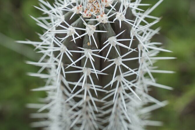 2 Hour Individual Island South Tour on Bonaire for 1 - 12 persons - Good To Know