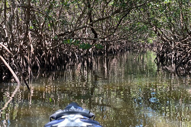 2- Hour Jungle Tour at Prehistoric Preserve Site in Fort Pierce - Tour Details