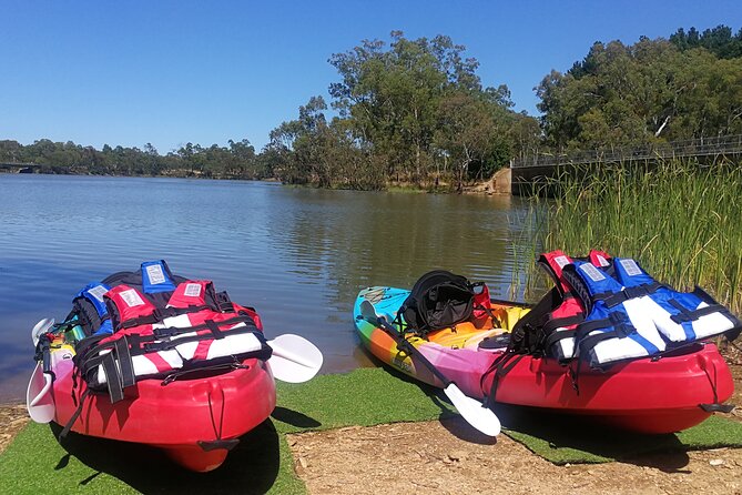 2-Hour Kayaking Experience in Barossa Valley - Maximum Capacity and Group Size