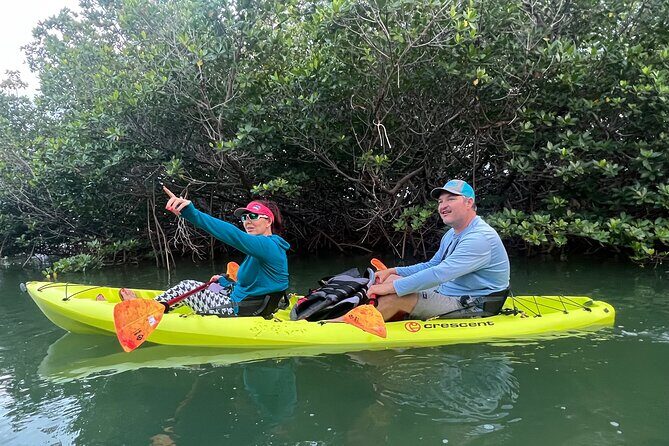 2 Hour Key West Kayak Rental  Discover Mangroves & Wildlife! - Who Will Love This Tour?