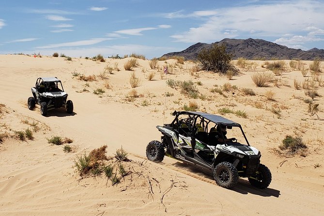 2 Hour Las Vegas Desert Off Road Adventure - Overall Experience and Customer Reviews