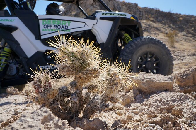 2 Hour Las Vegas Desert Off Road Adventure - Professional Staff and Personalized Experience