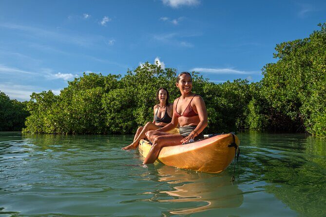 2 Hour Mangrove Kayak and Snorkel Tour - Good To Know
