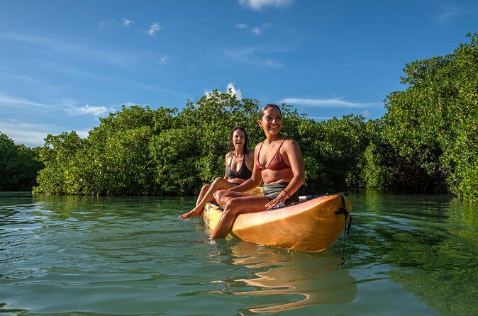 2 Hour Mangrove Kayak and Snorkel Tour - Who Should Consider This Tour?
