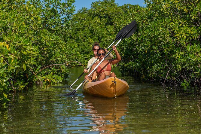 2 Hour Mangrove Kayak and Snorkel Tour - FAQ