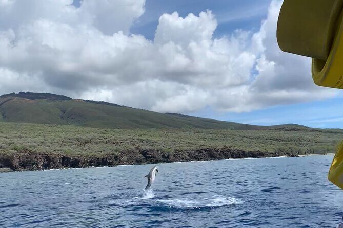 2 Hour Maui Dolphin Watch Sightsee Raft Tour (Semi-Private) - Frequently Asked Questions