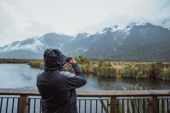 2 Hour Milford Sound Cruise - Pricing and Booking