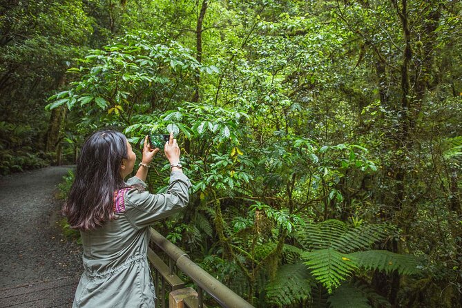2 Hour Milford Sound Cruise - The Sum Up