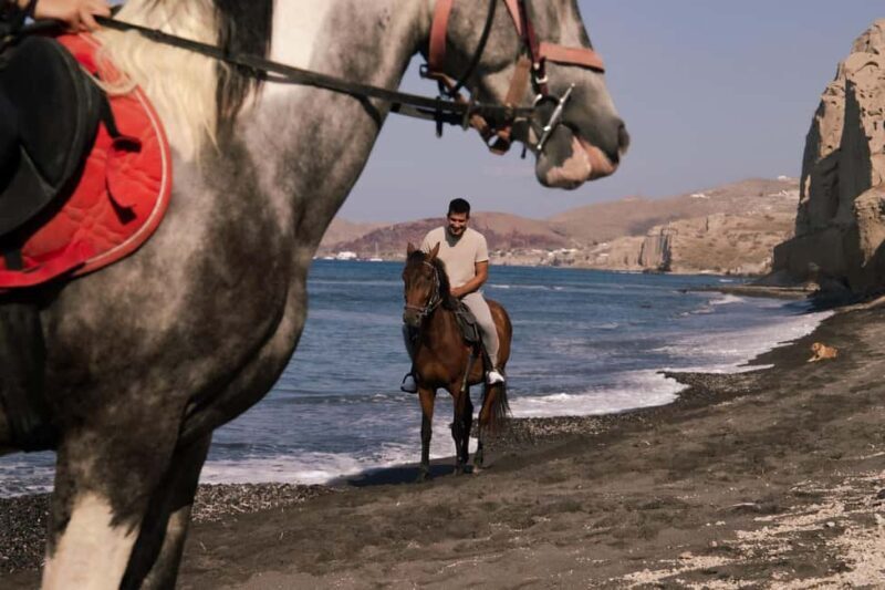 2-Hour Morning Horse Ride with Professional Photos - The Sum Up