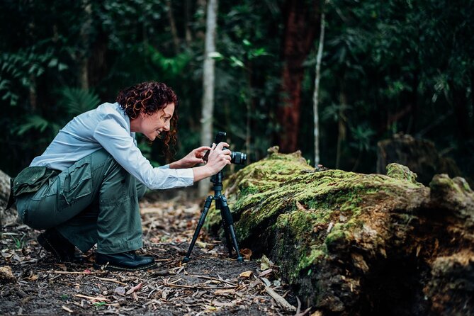 2-Hour Mushroom Photography Activity in Cairns Botanic Gardens - Activity Overview