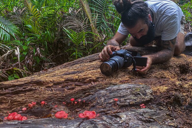 2-Hour Mushroom Photography Activity in Cairns Botanic Gardens - Expectations and Details