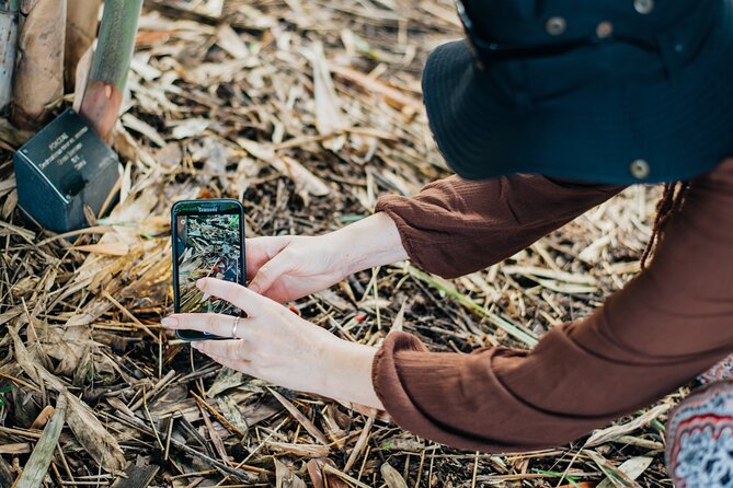2-Hour Mushroom Photography Activity in Cairns Botanic Gardens - Common Questions