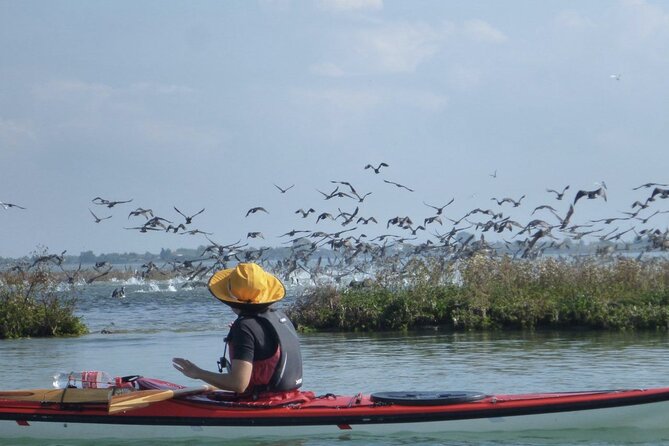 2 Hour Night Kayak Tour in Venice, Premium Experience With Sunset - Overview and Experience
