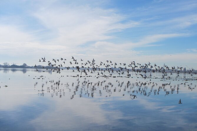 2 Hour Night Kayak Tour in Venice, Premium Experience With Sunset - Hidden Spots in Venetian Lagoon