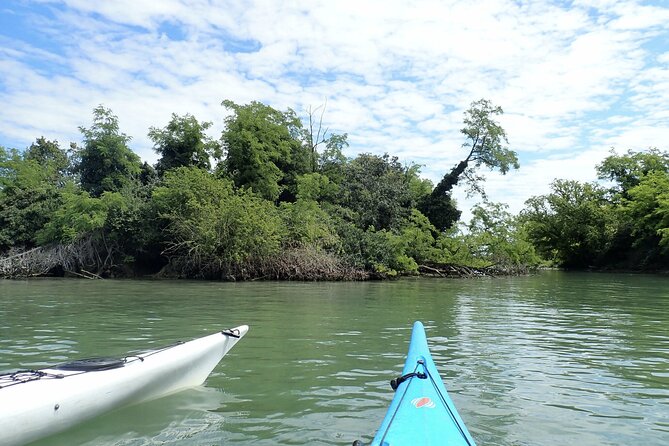 2 Hour Night Kayak Tour in Venice, Premium Experience With Sunset - Cancellation Policy and Weather Conditions