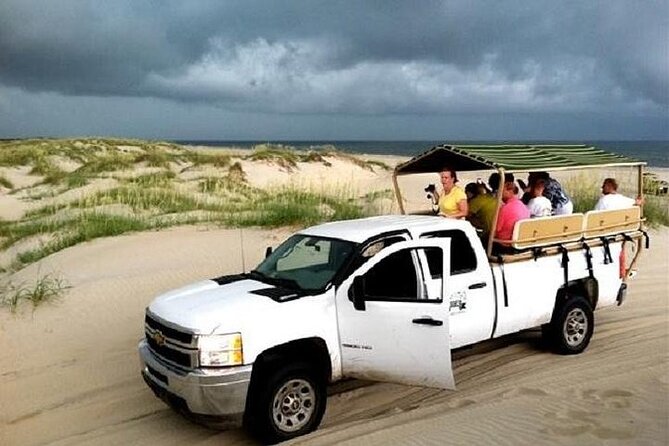 2-hour Outer Banks Wild Horse Tour by 4WD Truck - Historical and Ecological Insights