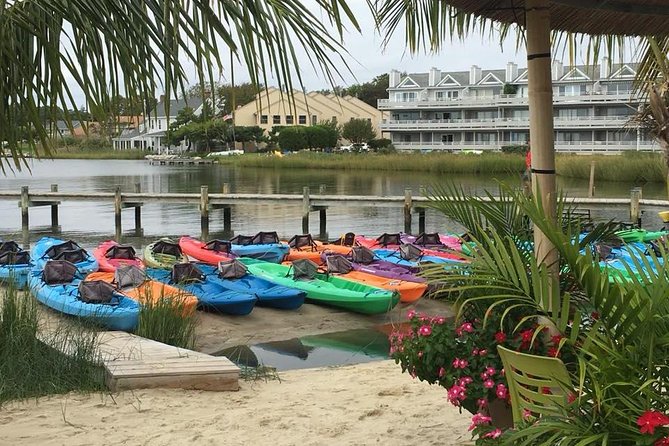 2-Hour Paddleboard Rental in Rehoboth Bay - Common Questions
