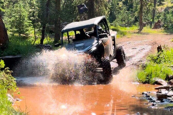 2 Hour Park City UTV Adventure Rental (4 Seater RZR) - A Closer Look at the UTV Adventure Experience