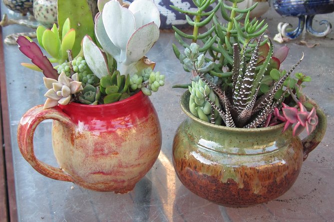 2- Hour Pottery Workshop and Studio Tour in Ojai - Workshop Overview