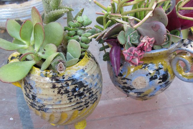 2- Hour Pottery Workshop and Studio Tour in Ojai - Reviews