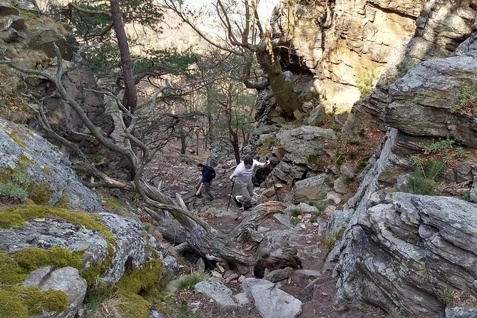 2-Hour Private Alpine Hiking Tour on Seekopf Mountain, Wachau Valley From Vienna - Reviews