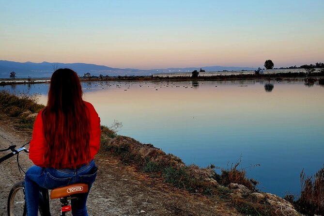 2-Hour Private Bike Ride at Sunrise in Nature - Route and Terrain