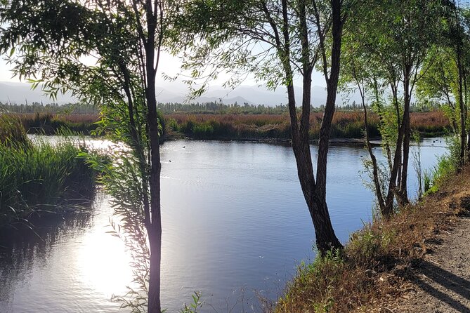 2-Hour Private Bike Ride at Sunrise in Nature - Equipment Provided