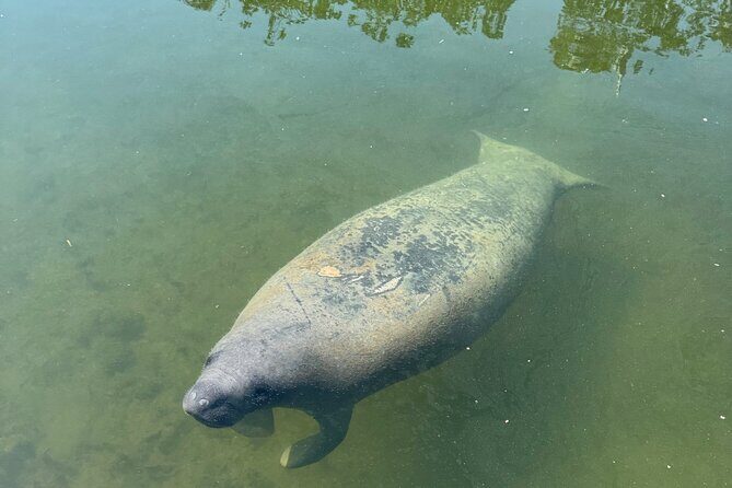 2 Hour Private Day Charter In Islamorada - Practical Details to Keep in Mind