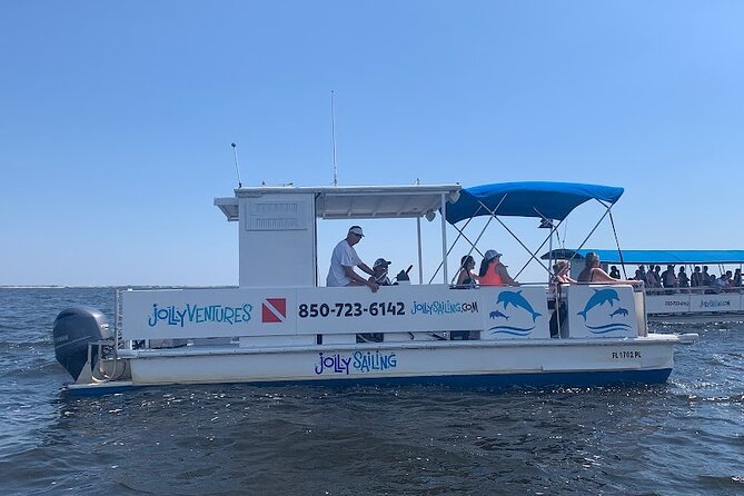 2 Hour Private Dolphin Cruise & Bay Tour - Meeting and Pickup
