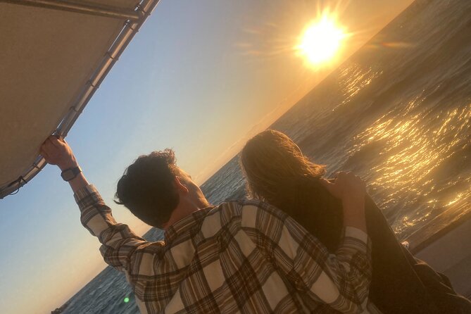 2 Hour Private Dolphin Sightseeing Tour in Panama City Beach - Dolphin Sightings and Highlights