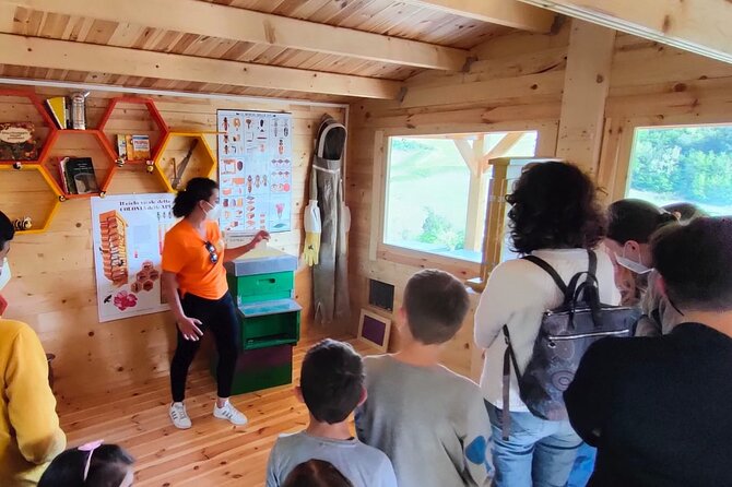 2-Hour Private Guided Activity Discovering Bees in Volterra - Whats Included and Meeting/Pickup