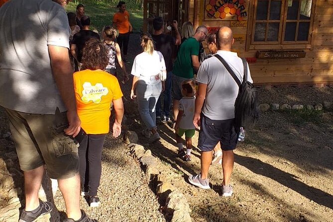 2-Hour Private Guided Activity Discovering Bees in Volterra - Directions to Meeting Point