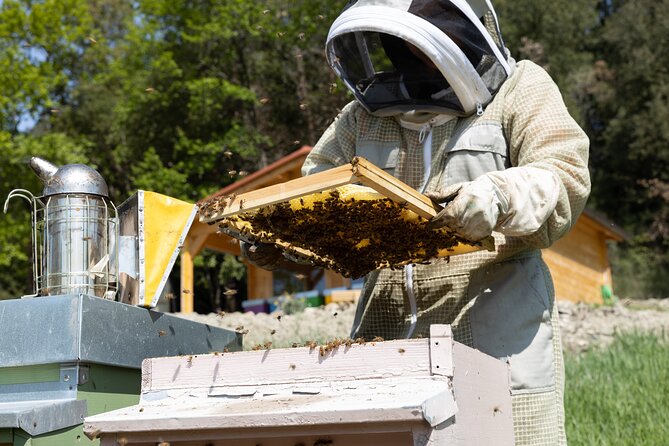 2-Hour Private Guided Activity Discovering Bees in Volterra - Common Questions