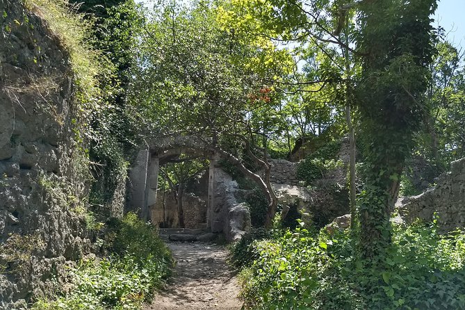 2-Hour Private Hiking Tour Helenental Castles Hike From Vienna - Safety and Accessibility