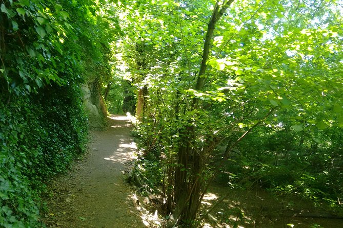 2-Hour Private Hiking Tour to Meet History at Braunsberg Mountain From Vienna - Tour Details