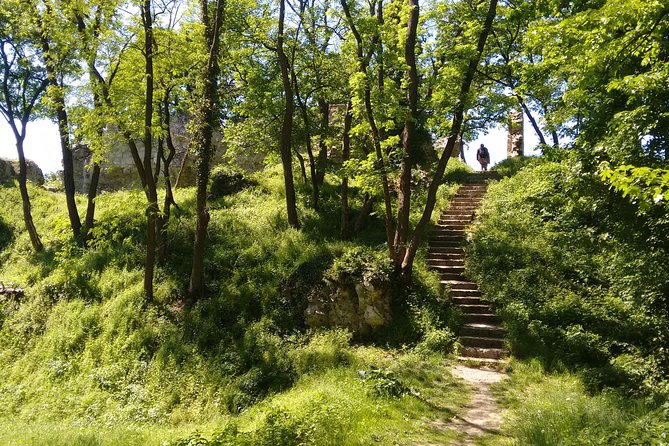 2-Hour Private Hiking Tour to Meet History at Braunsberg Mountain From Vienna - Common Questions