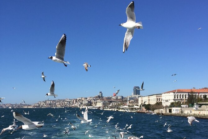 2-Hour Private Luxury Yacht Cruise on Bosphorus With Transfers - The Sum Up